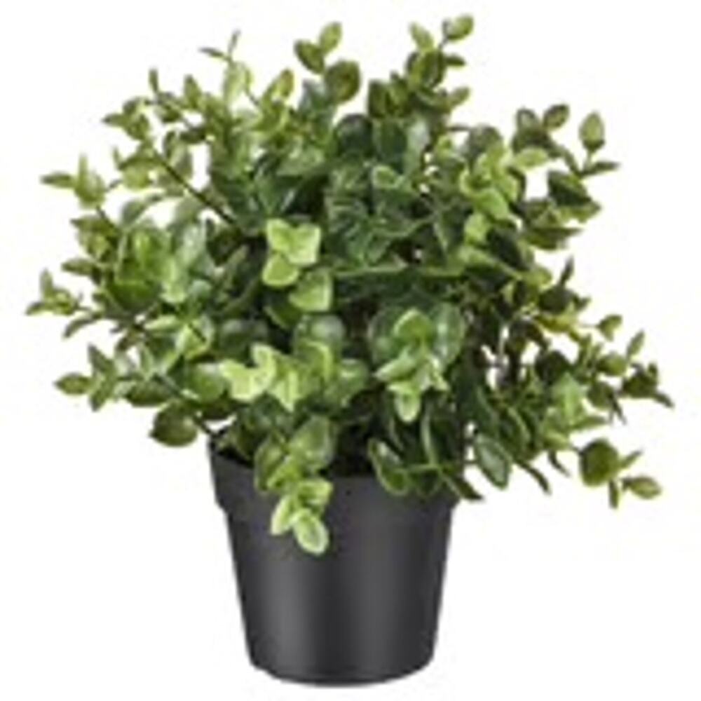 FEJKA Artificial Oregano Brings Green Joy Home No Fuss No Mess